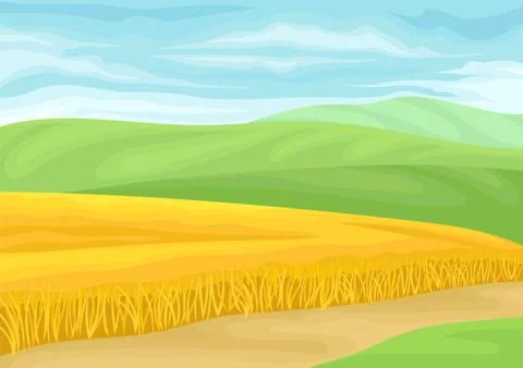 Field of ripe wheat. Vector illustration on white background. Stock Illustration
