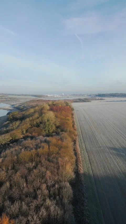 A field with a river in the background and a forest in the foreground Stock Footage 298269113