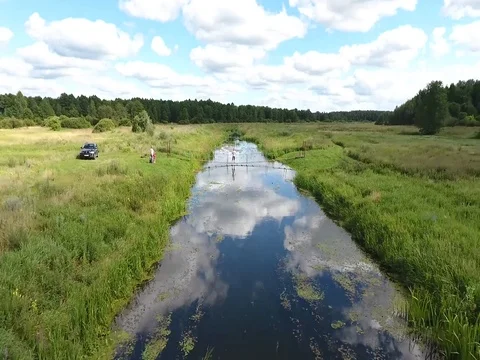 Field river forest with a small height Stock Footage 70348496