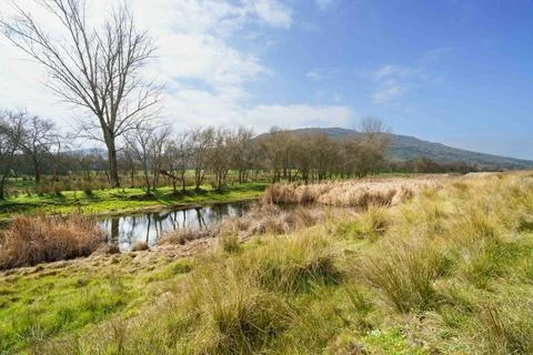 A field with a river running through it and a tree in the background Stock Photos
