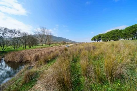 A field with a river running through it and a few trees in the background Stock Photos