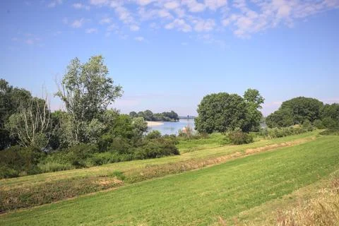 Field by the riverside 写真素材