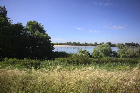 Field by the riverside Foto stock