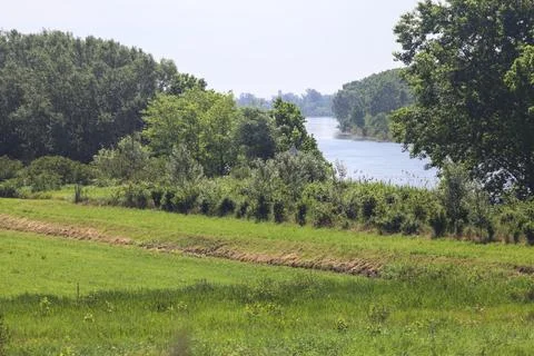 Field by the riverside 写真素材