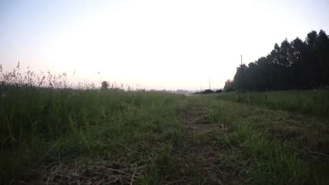 Field road 30 fps 動画素材 156863344