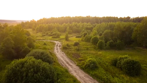 Field road and trees at sunset Stock Footage 94184858