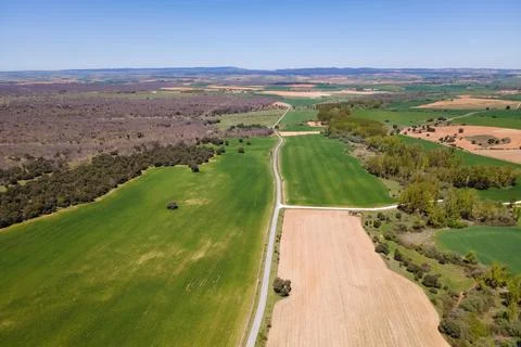 Field road circulating between the crops planted in the plain. Stock-Fotos