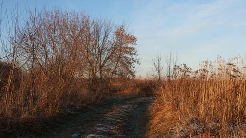 Field road in early winter, without snow. Sunny day. Stock Footage 120716978