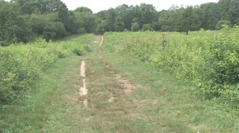 Field road Stock Footage 8164073