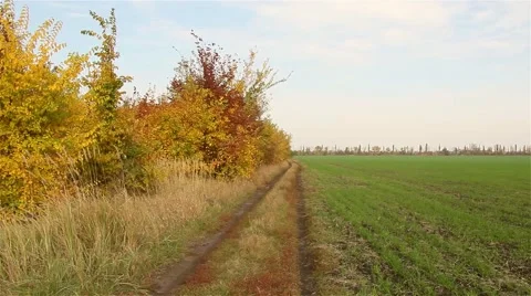 In the field Road 스톡 동영상 68207582