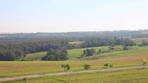 Field, road, forest and power lines Stock Footage 81031486