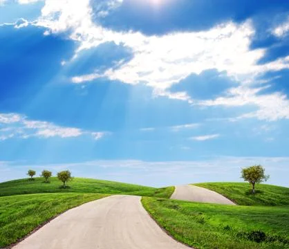 Field with road Stock-Illustration