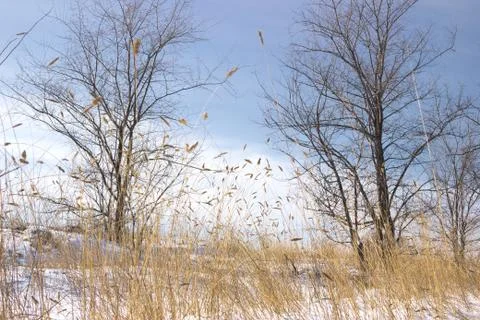 Field at the road in winter Foto stock