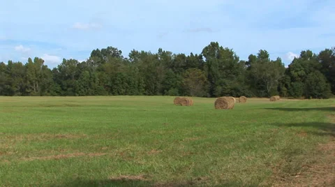 Field With Round Bales Of Hay Stock Footage 33604078