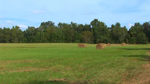 Field With Round Bales Of Hay Video stock 33604087
