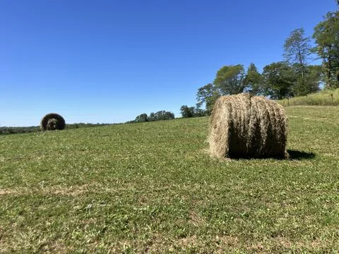 Field with Round Hay Stock Photos