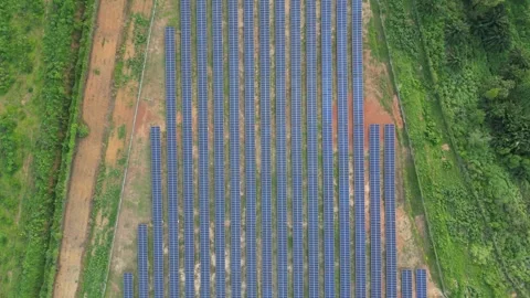 Field with rows of blue solar panels Video stock 330760491