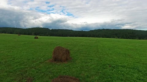 Field in Russia Video stock 53770765