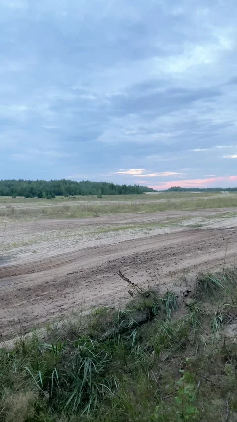 A field of sand in the middle of a forest. Vertical video Stock Footage 281509775