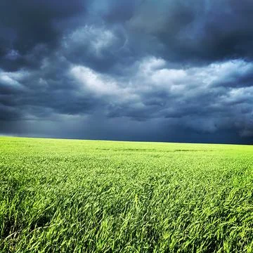 Field Save Ukraine - #StopWar Stock Photos
