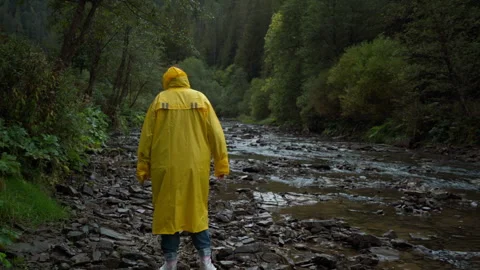 Field scientist cautiously moving along lush wet shoreline habitat Stock Footage 326043385