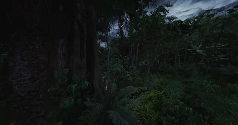Field scientist meticulously samples water near tree roots at night Stock Footage 333559189