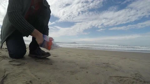 Field scientist sampling sand on a beach Video stock 147696380
