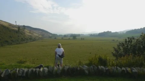 Field in Scotland Stock Footage 56703003