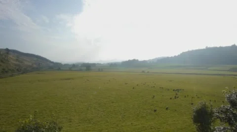 Field in Scotland Stock Footage 56727099