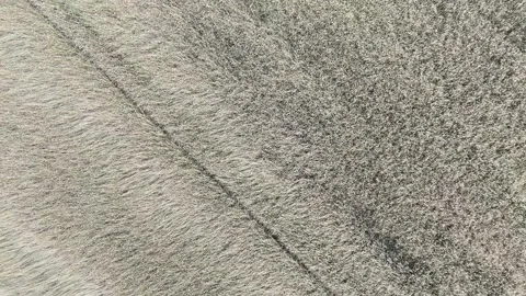 A field seen from above Stock Footage 285927250