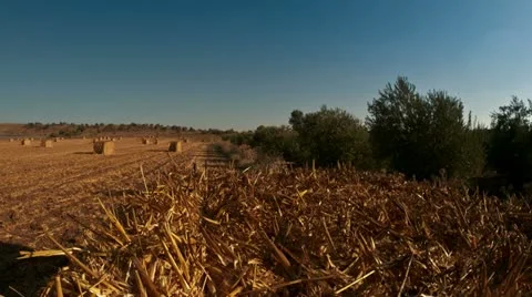 Field shadows TL 0812 2 Stockbeeldmateriaal 11649971