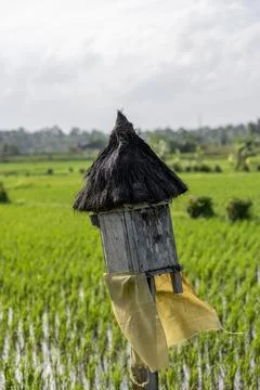 Field Shrine in Ubud Subak Rice Landscape Stock Photos
