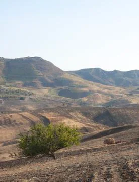 Field in sicily Stock Photos