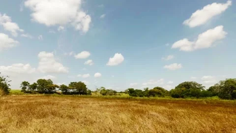 Field, sky and clouds, time lapse 库存影片 96104409