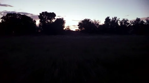 Field To Sky 動画素材 247372648