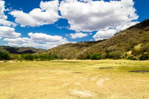 Field with sky Stock Photos