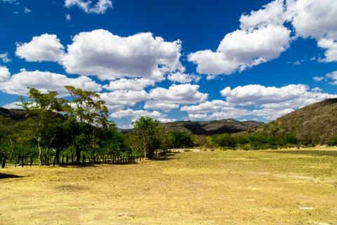 Field with sky Stock Photos
