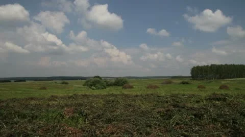 Field of slanted hay Stock Footage 11251631
