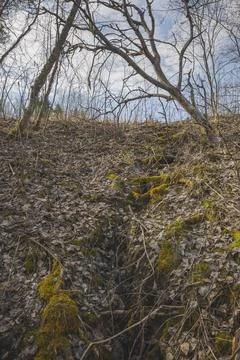 A field slope with traces of a stream Stock Photos