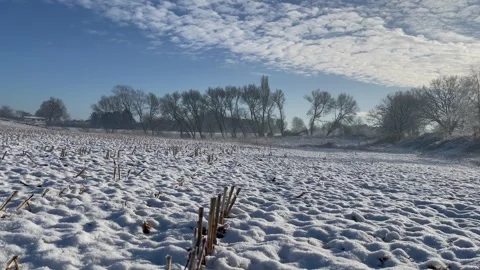 Field snow maize corn stubble dramatic sky Stock Footage 297582572