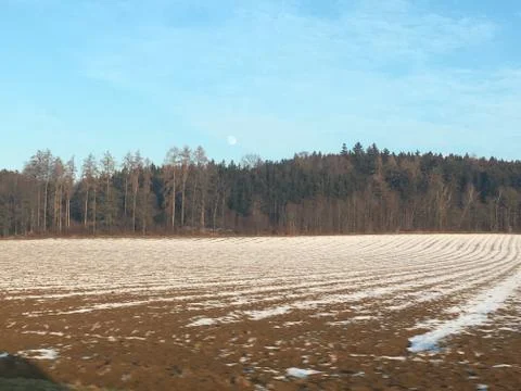 Field with snow Stock Photos