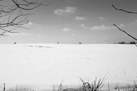 Field of snow 库存照片