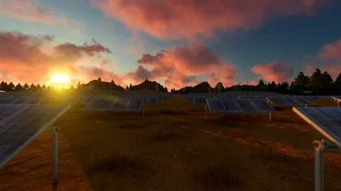 Field of solar panel at sunset Stock Footage 88984122
