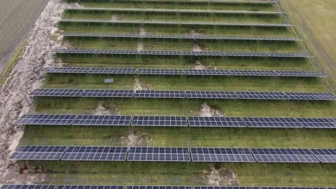 Field with solar panels from the bird flight view 動画素材 237115342