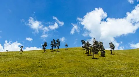 A field, some trees and a sky with clouds. Stock-Fotos