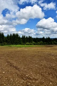 A field before sowing Stock Photos