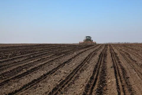 Field sowing in spring Stockfoto's