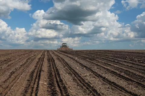 Field sowing in spring Fotos Stock