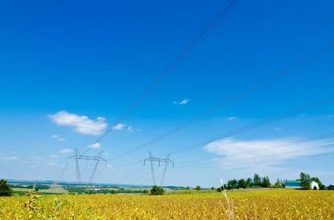 Field of soybeans Stock Photos