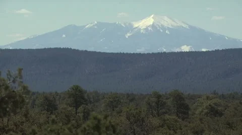 Field with Sparce Trees and Snow Capped Mountain in The background Video stock 19011328